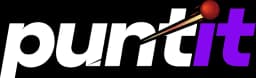 Puntit logo